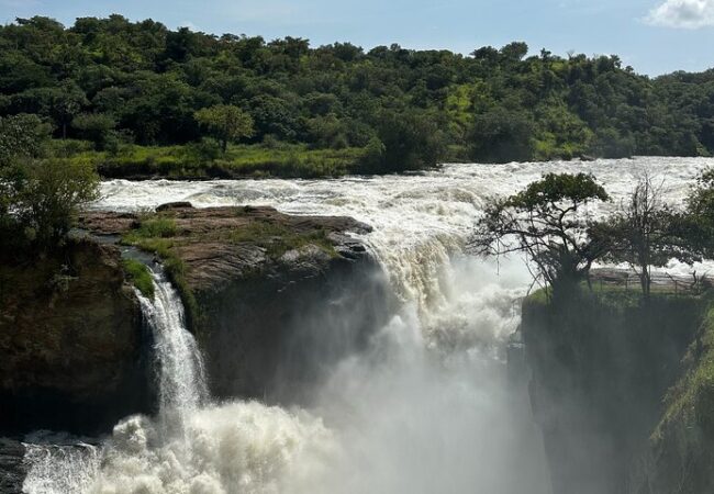 Murchison Falls Safari