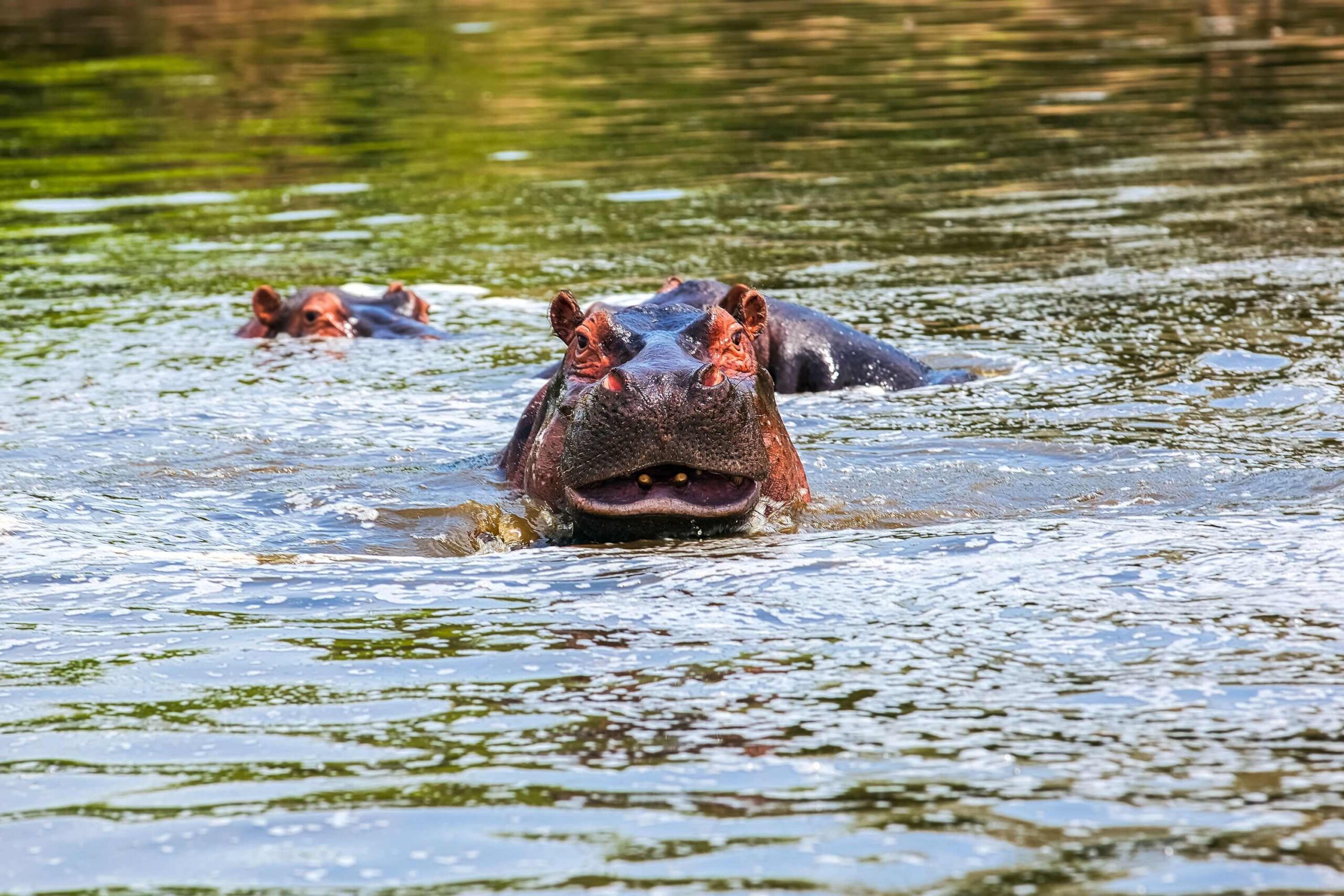 Lake Mburo National Park
