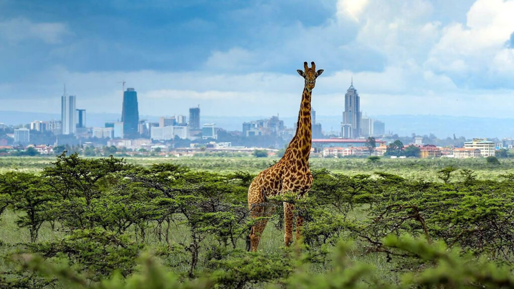 Nairobi-National-Park-Giraffe-Centre-Safari