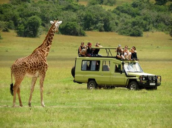 Game Drives