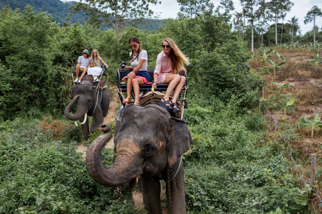 Thailand - Tunga Africa Safaris
