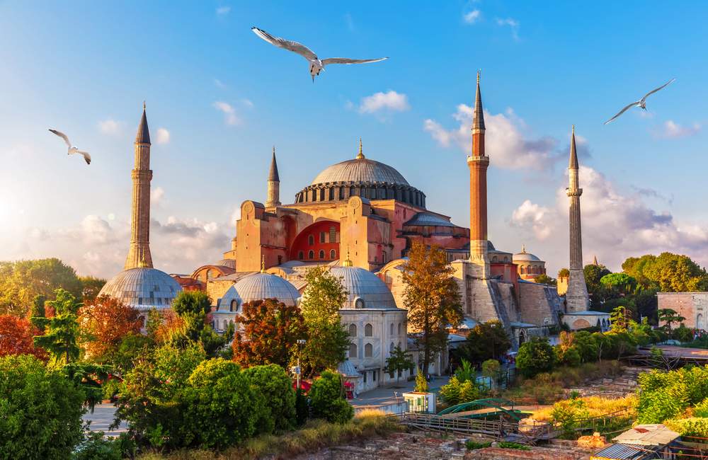 Turkey-Tunga Africa Safaris